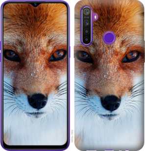 

Чохол Руда лисиця на Realme 5 920633