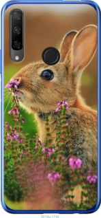 

Чехол Кролик и цветы для Huawei Honor 9X 792573