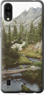 

Чохол Природа на ZTE Blade A5 2020 1592307