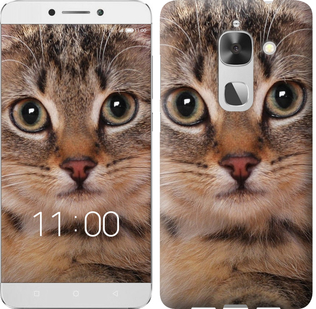 

Чохол Смугастий котик на LeTV LeEco Le Max 2 175898