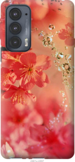

Чехол Розовые цветы для Motorola Edge 20 1231020