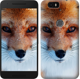 

Чехол Рыжая лисица для Huawei Nova 78774