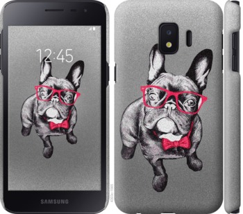 

Чохол Розумний бульдог на Samsung Galaxy J2 Core 736902