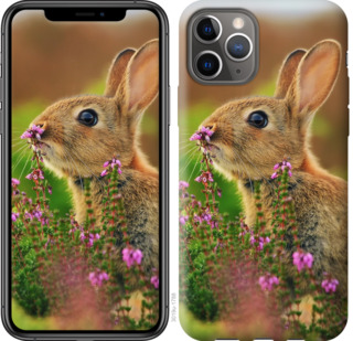 

Чехол Кролик и цветы для iPhone 11 Pro 781382