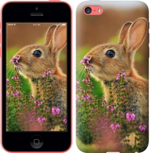 Чехол Кролик и цветы для iPhone 5c