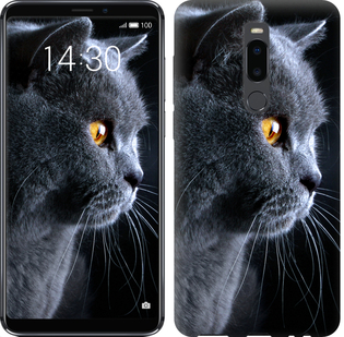Чехол Красивый кот для Meizu Note 8