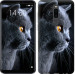 Чехол Красивый кот для Meizu Note 8