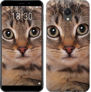

Чехол Полосатый котик для Meizu M6s 655426