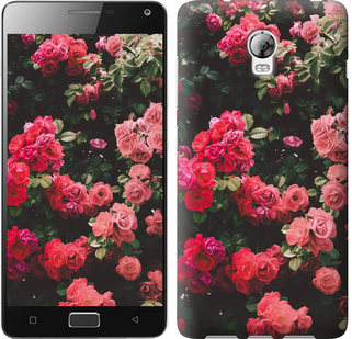 

Чохол Кущ з трояндами на Lenovo Vibe P1 639243
