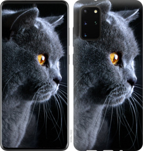 

Чохол Гарний кіт на Huawei Honor Play 4T Pro 916977