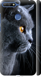 

Чохол Гарний кіт для Huawei Honor 7A Pro 667249