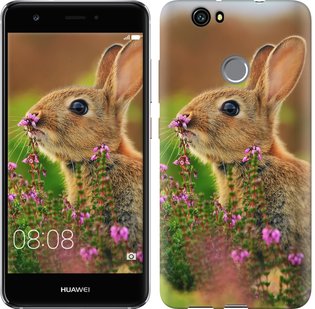 

Чехол Кролик и цветы для Huawei Nova 150092