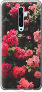 

Чехол Куст с розами для Oppo Reno 2Z 919565