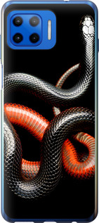 

Чехол Красно-черная змея на черном фоне для Motorola Moto G Plus 1685286
