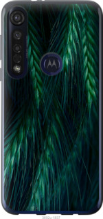 

Чехол Колоски для Motorola G8 Plus 1580149