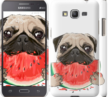 

Чохол Мопс і кавун на Samsung Galaxy J2 Prime 843474