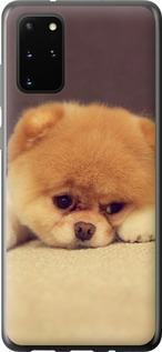 

Чохол Boo 2 на Samsung Galaxy S20 Plus 948619