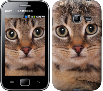 

Чехол Полосатый котик для Samsung Galaxy Ace Duos S6802 175568