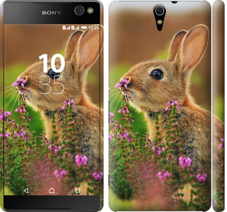 

Чохол Кролик і квіти на Sony Xperia C5 Ultra Dual E5533 150027