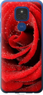 

Чохол Червона троянда на Motorola E7 Plus 1574210