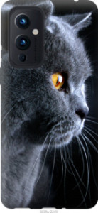Чехол Красивый кот для OnePlus 9