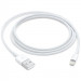 Фото Дата кабель Apple Lightning to USB 2m (Original) (MD819ZM/A) (Белый) на vchehle.ua