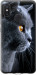 Чехол Красивый кот для Xiaomi Mi8