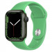 Ремешок Hoco WA01 Flexible series Apple watch (42/44/45/49mm) (Bright Green)