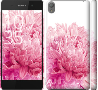 

Чохол Хризантема на Sony Xperia E5 F3311 844383