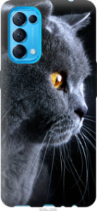 Чехол Красивый кот для Oppo Reno5