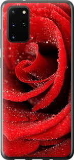 

Чехол Красная роза для Samsung Galaxy S20 Plus 948369