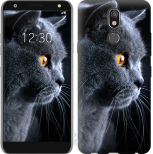 

Чехол Красивый кот для LG K40 762619