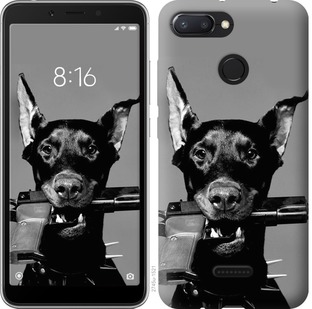 

Чохол Доберман на Xiaomi Redmi 6 670805