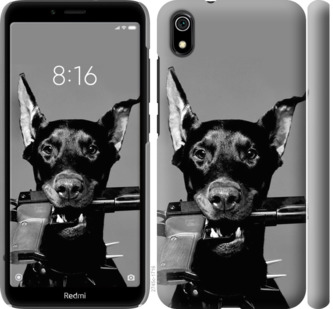 

Чохол Доберман на Xiaomi Redmi 7A 741469