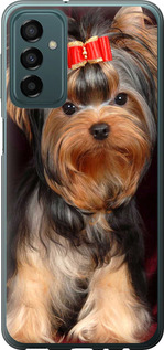 

Чохол Нарисованный йоркширский терьер для iPhone на Samsung Galaxy M23 M236B 1634806