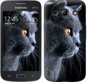 Чехол Красивый кот для Samsung Galaxy Star Advance G350E