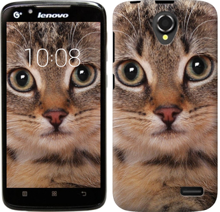 

Чехол Полосатый котик для Lenovo A388t 175608