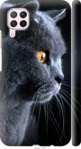 Чехол Красивый кот для Huawei P40 Lite