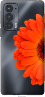 

Чехол Гербера 1 для Motorola Edge 20 1589636