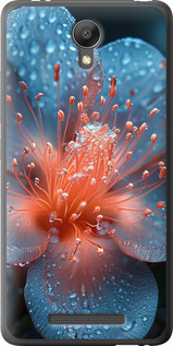 Чехол Роса на цветке для Xiaomi Redmi Note 2