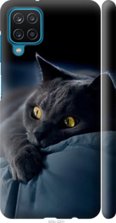 Чохол Димчастий кіт на Samsung Galaxy A12 A125F