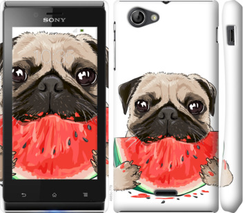 

Чехол Мопс и арбуз для Sony Xperia J ST26i 843686
