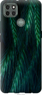 

Чехол Колоски для Motorola G9 Power 1580154