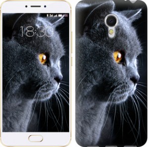 Чехол Красивый кот для Meizu MX6