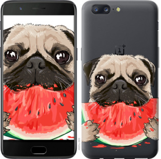 

Чехол Мопс и арбуз для OnePlus 5 844029