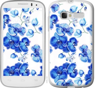 

Чехол Голубые орхидеи для Alcatel One Touch Pop C5 5036D 725432
