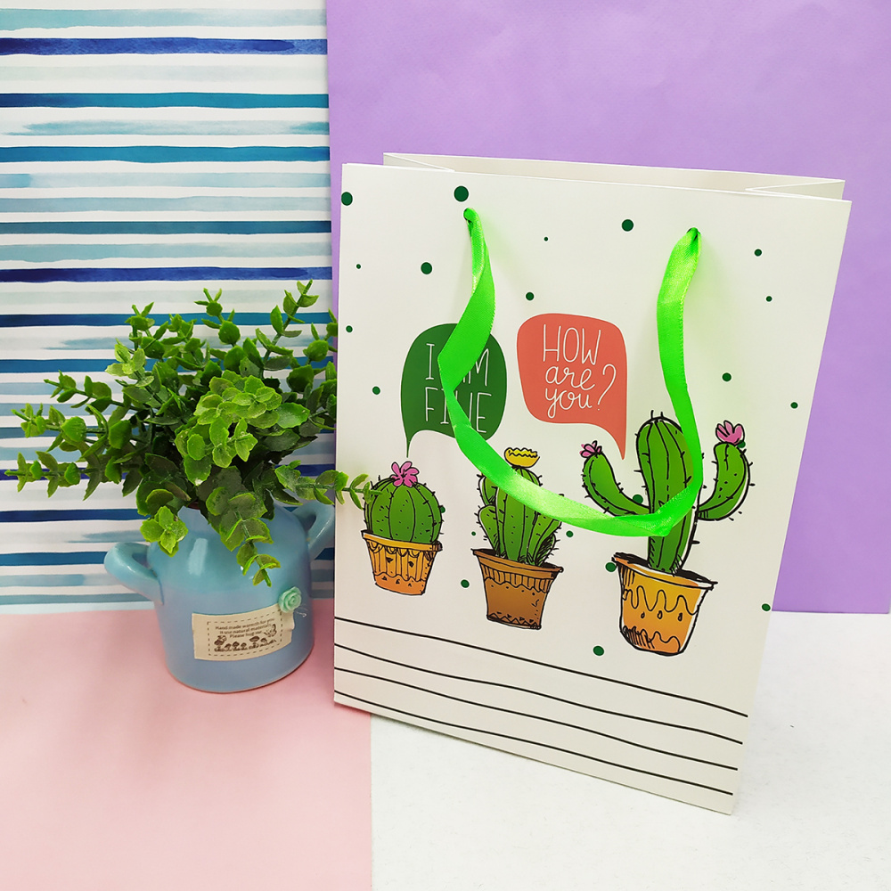 Подарочный пакет Cactus
