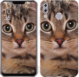 

Чохол Смугастий котик на Asus Zenfone 5 ZE620KL 675841