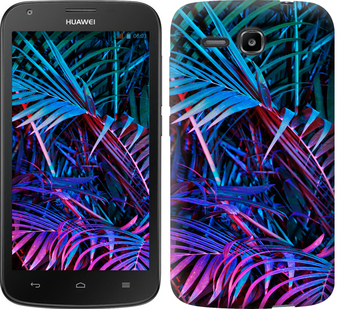 

Чохол Папороть під ультрафіолетом на Huawei Ascend Y600 610081