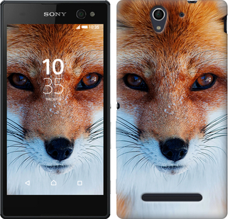 

Чохол Руда лисиця на Sony Xperia C5 Ultra Dual E5533 78703